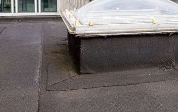 disadvantages of Rawson Green flat roofs